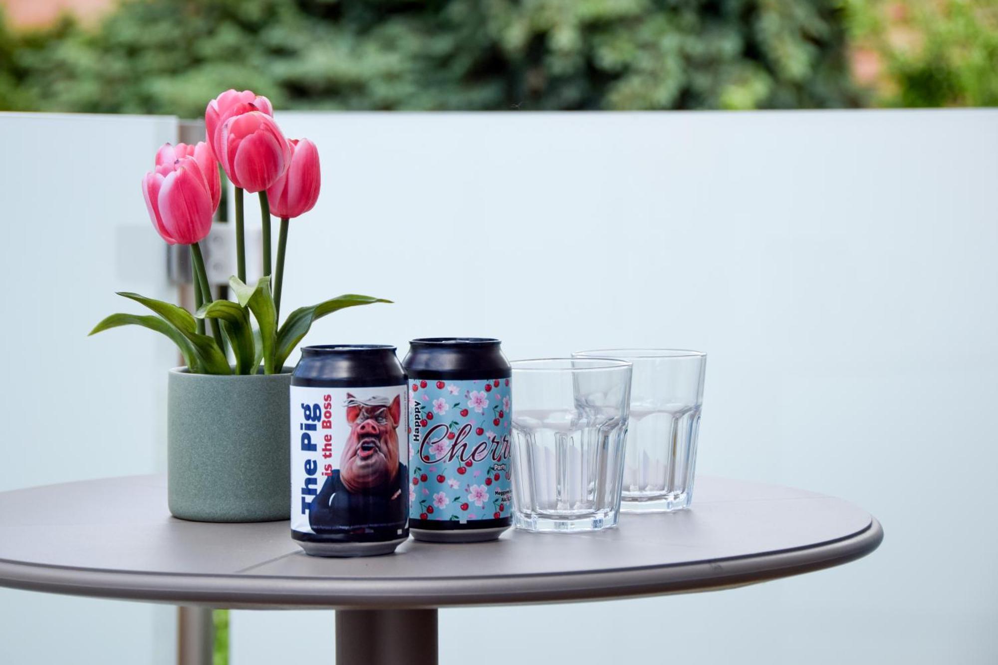 Silentium Premium Apartman Sárvár Exteriér fotografie